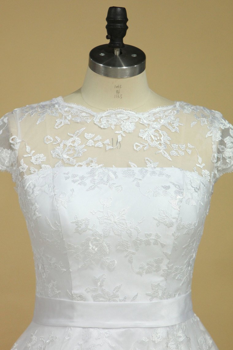 Plus Size Scoop Short Sleeve Knee-Length A Line Lace With Sash Wedding Dresses