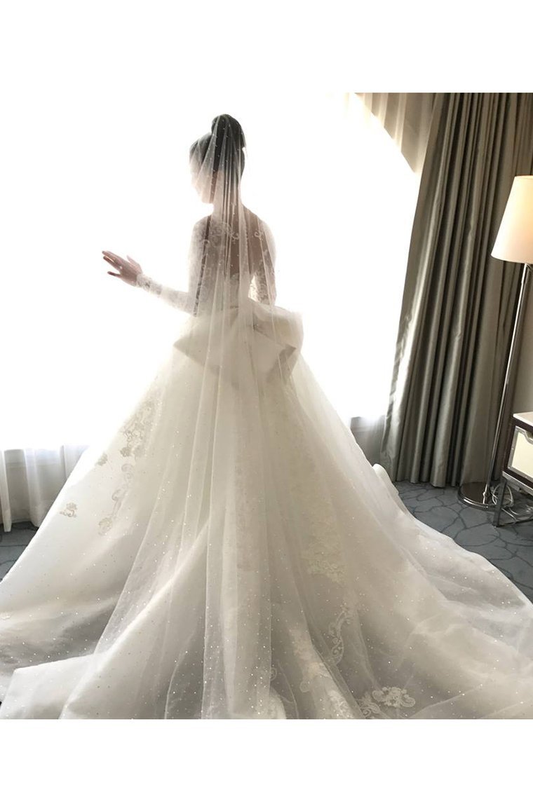 Mermaid Long Sleeves Tulle Wedding Dresses With Applique Court Train