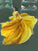 A-Line/Princess Off-the-Shoulder Sleeveless Sweep/Brush Train Beading Satin Chiffon Dresses TPP0002602